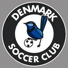 https://gssa.asn.au/wp-content/uploads/2024/03/Denmark-Soccer.jpeg